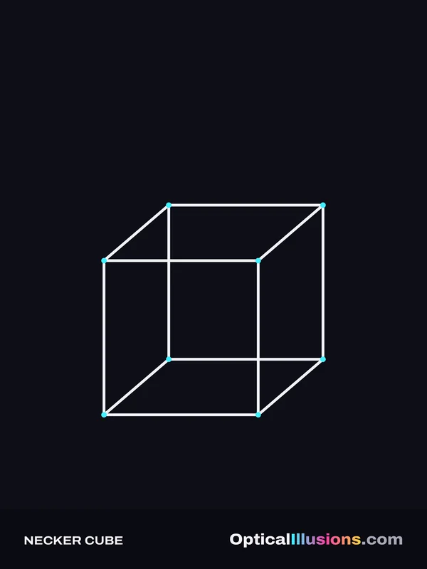 Necker Cube poster design