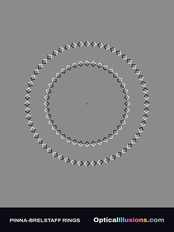 Pinna-Brelstaff Rings poster design