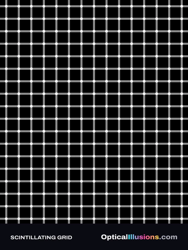 Scintillating Grid poster design