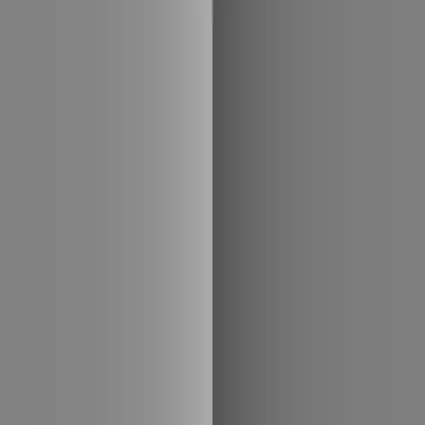 Cornsweet Illusion